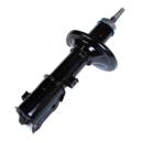 ���� ����